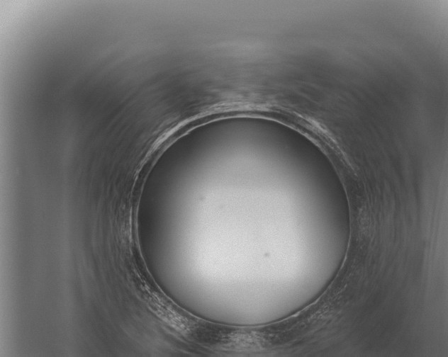 X0000060241220200511041248