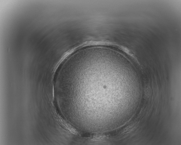 X0000060241221200511041248