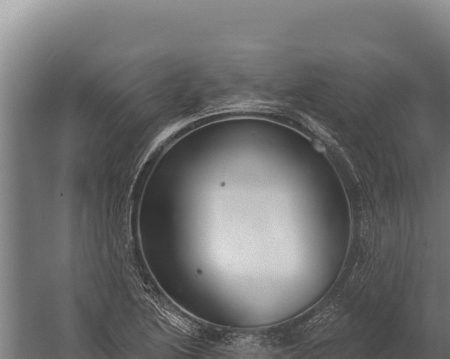 X0000060241222200511041248