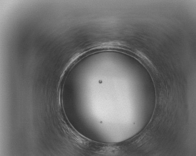 X0000060241224200511041248