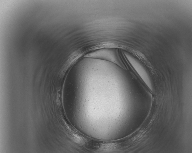 X0000060241225200511041248