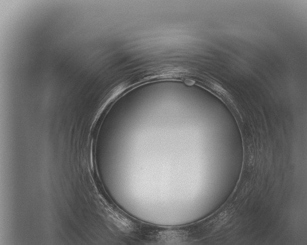 X0000060241227200511041248