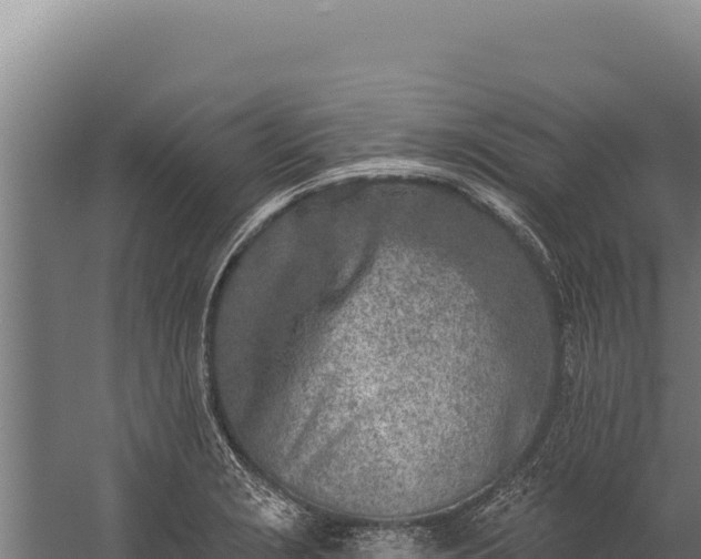 X0000060241229200511041248