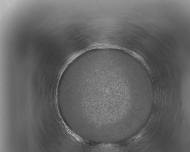 X0000060241231200511041248