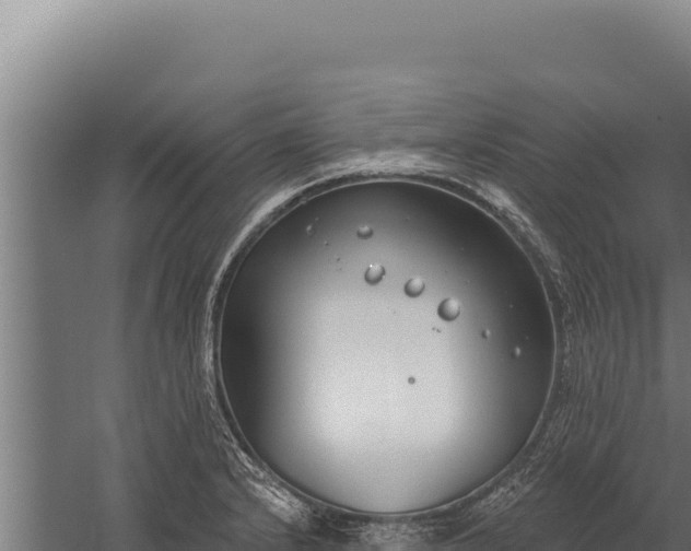 X0000060241232200511041248