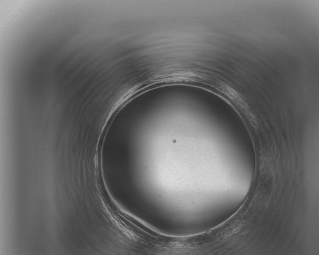 X0000060241234200511041248