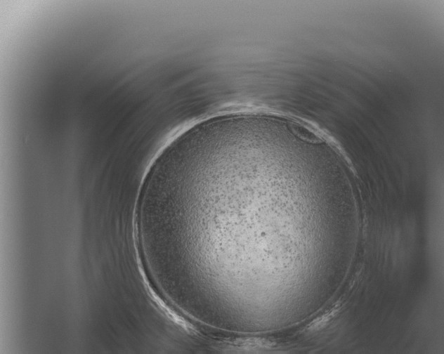 X0000060241239200511041248