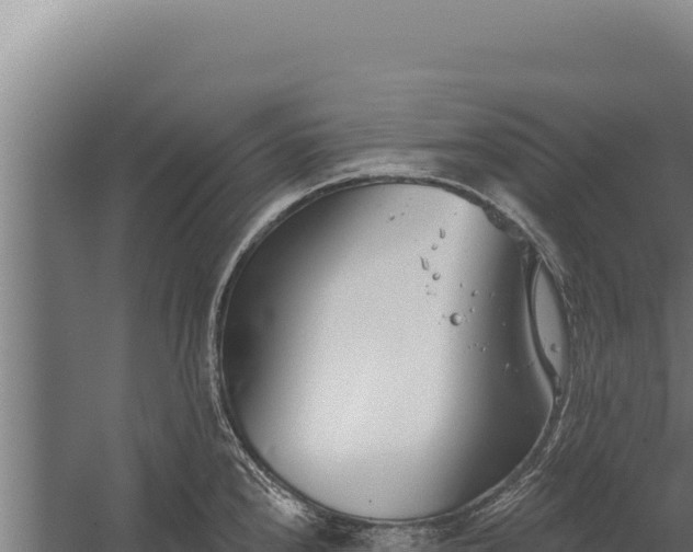 X0000060241240200511041248