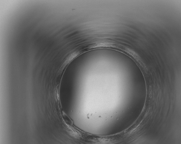 X0000060241241200511041248