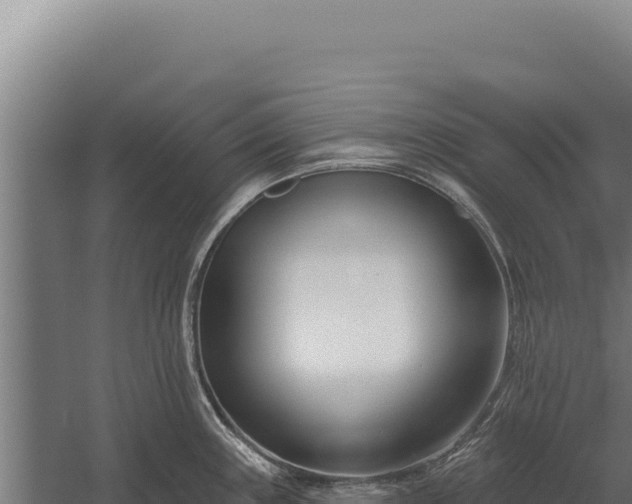 X0000060241243200511041248