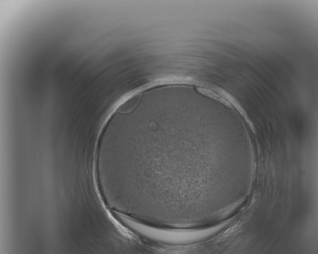 X0000060241245200511041248