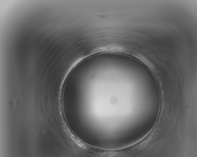 X0000060241248200511041248