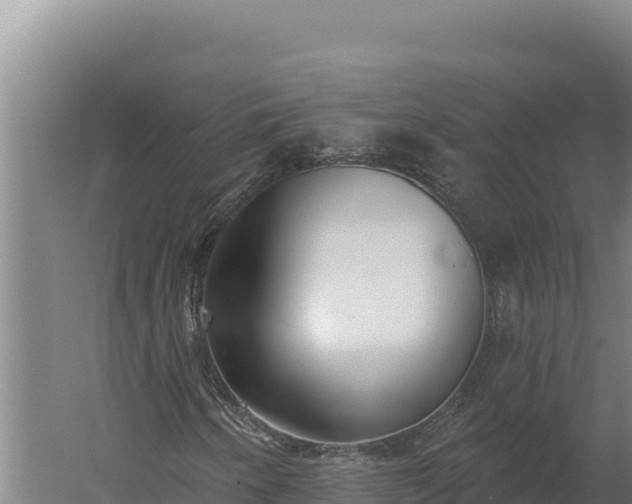 X0000060241250200511041248