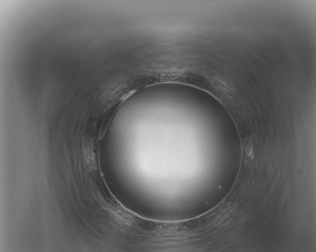 X0000060241252200511041247