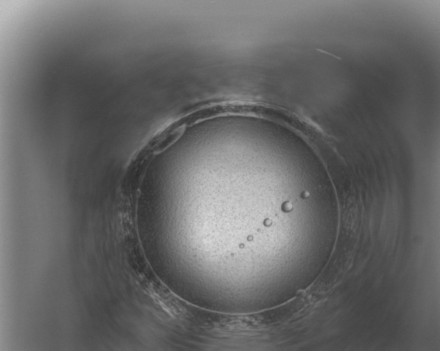 X0000060241255200511041247