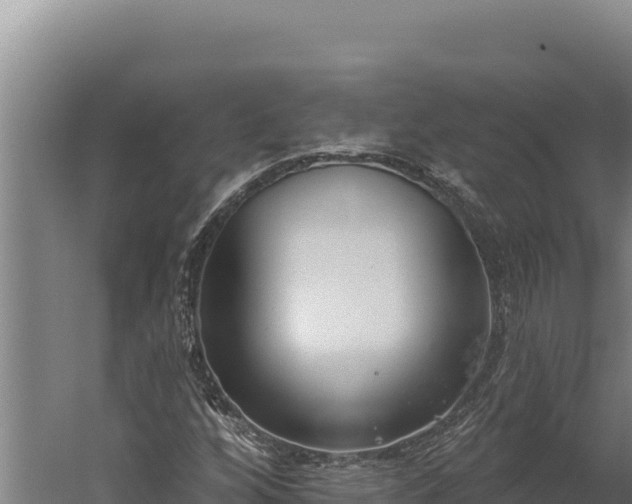 X0000060241256200511041247