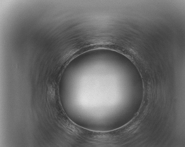 X0000060241257200511041247