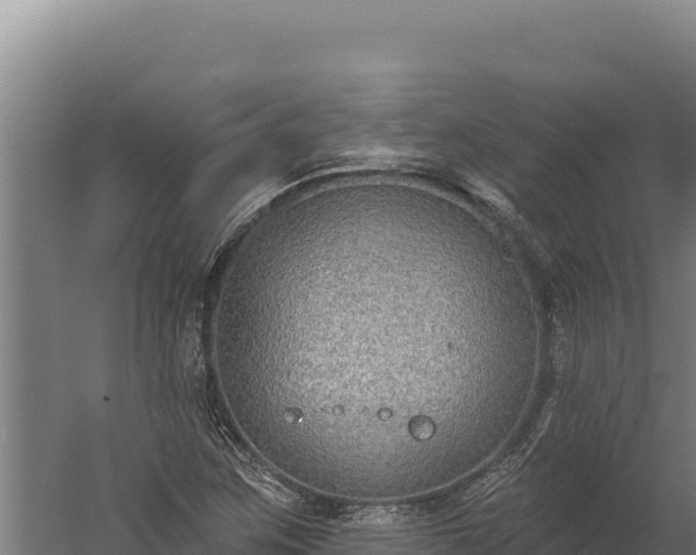 X0000060241259200511041247