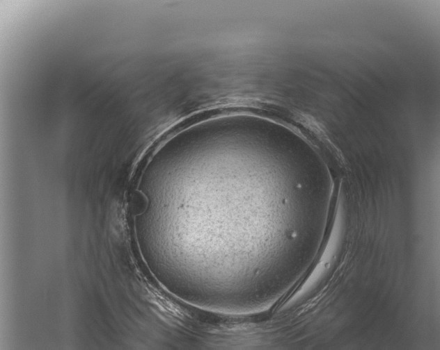 X0000060241260200511041247