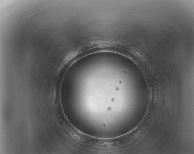 X0000060241261200511041247