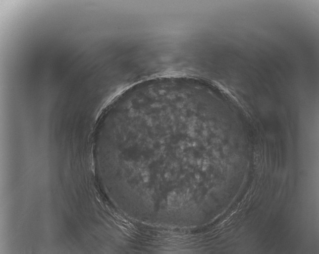 X0000060241262200511041247