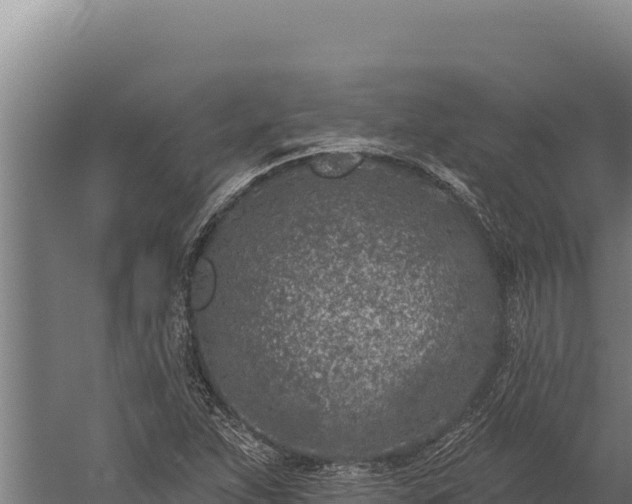 X0000060241263200511041247