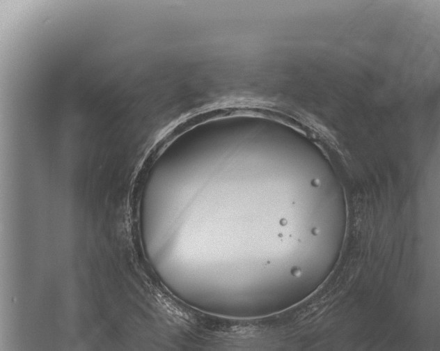 X0000060241264200511041247