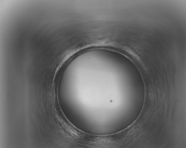 X0000060241270200511041247