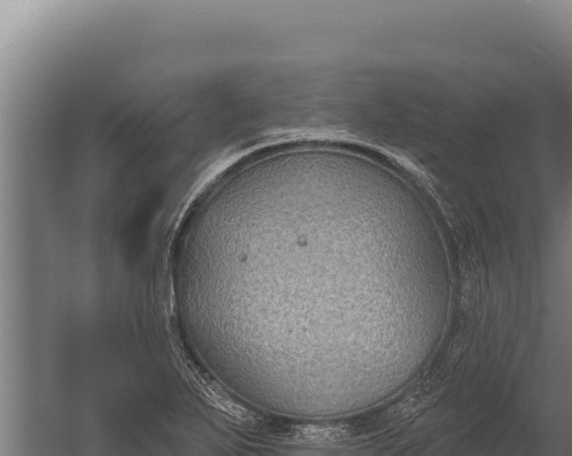 X0000060241271200511041247