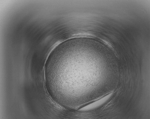 X0000060241275200511041247