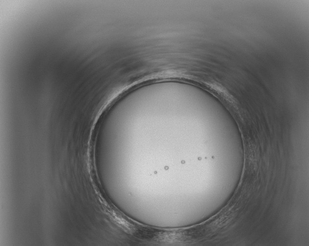 X0000060241278200511041247