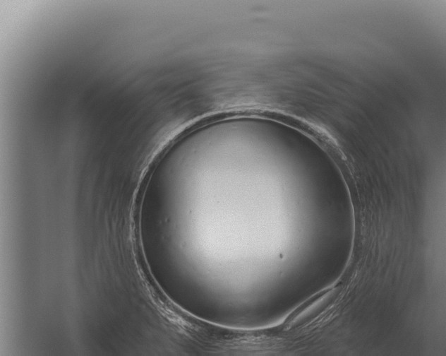 X0000060241279200511041247