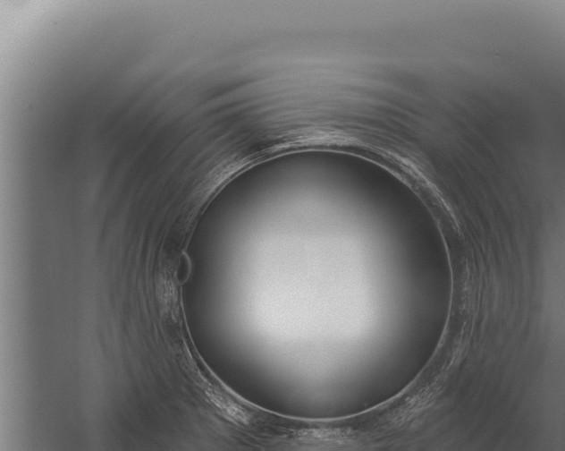 X0000060241281200511041247