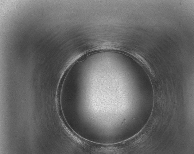 X0000060241285200511041247