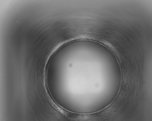 X0000060241286200511041247