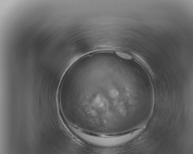 X0000060241291200511041247