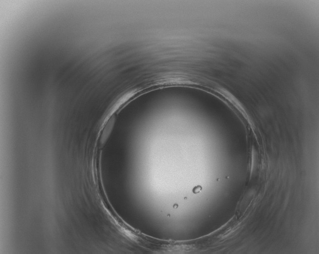 X0000060241293200511041247