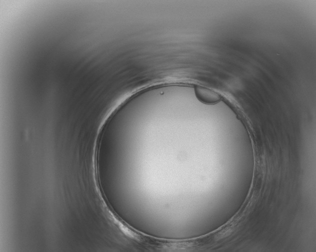 X0000060241294200511041247