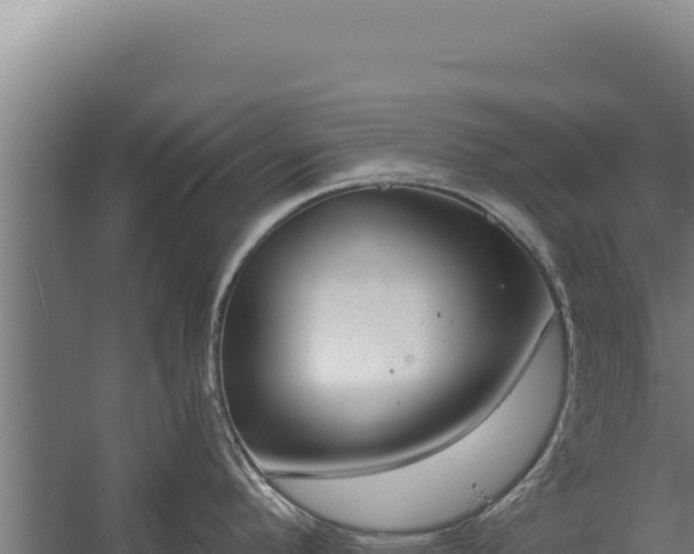 X0000060241296200511041247