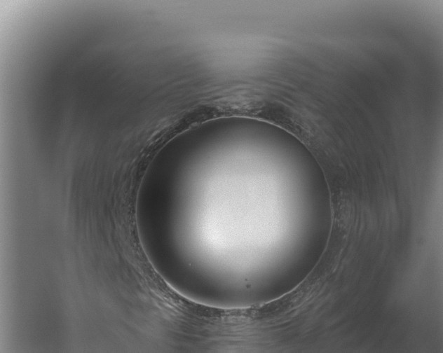 X0000060241297200511041246