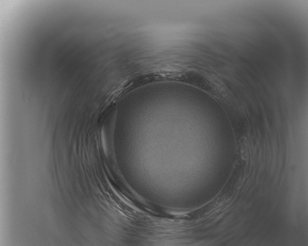 X0000060241298200511041246