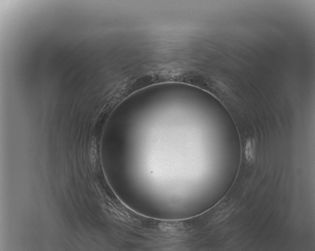 X0000060241299200511041246