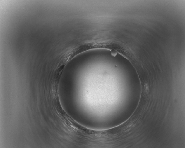 X0000060241300200511041246