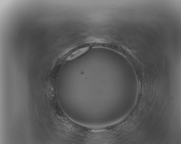 X0000060241303200511041246