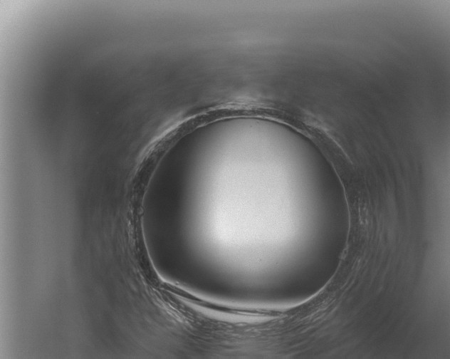 X0000060241304200511041246