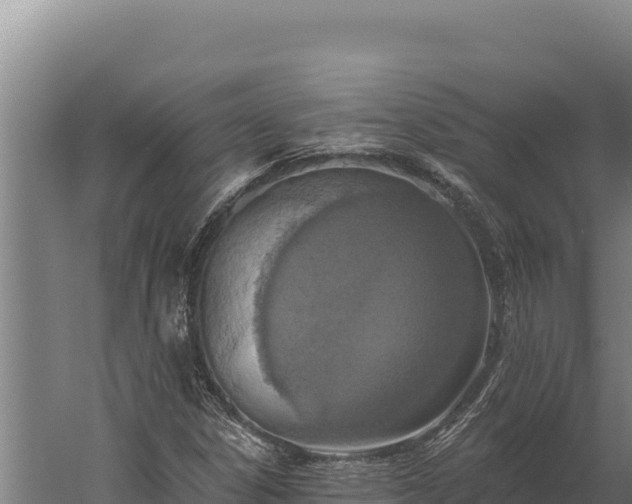 X0000060241306200511041246