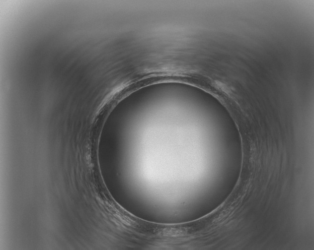 X0000060241307200511041246