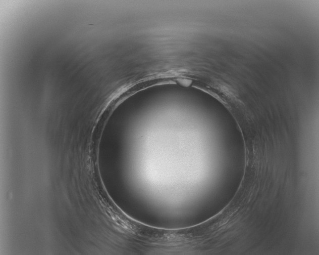 X0000060241308200511041246