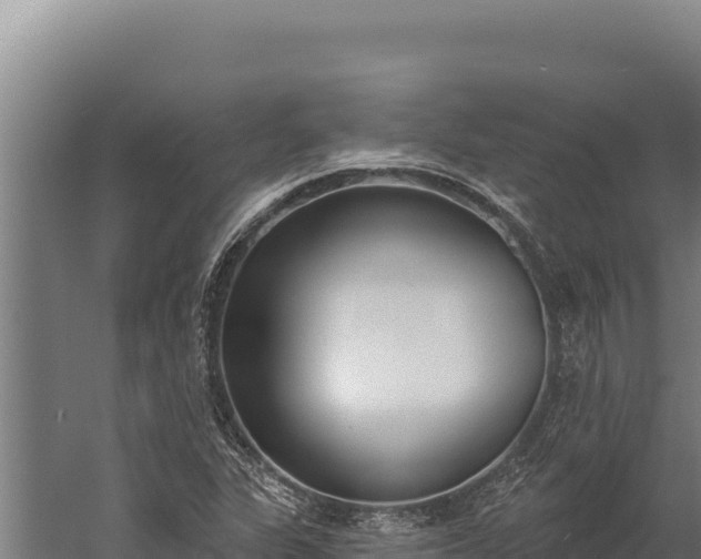 X0000060241311200511041246