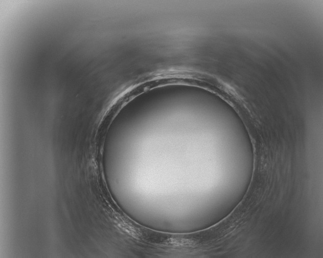 X0000060241312200511041246